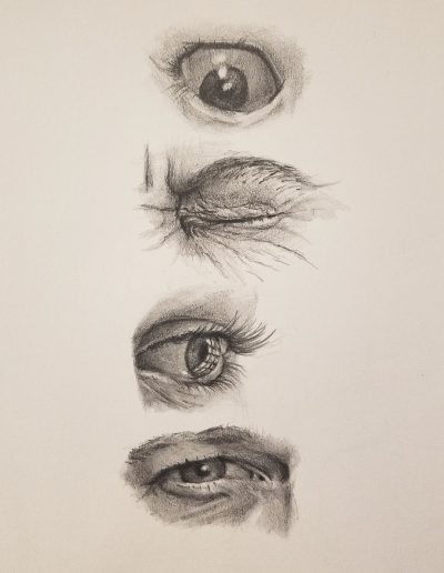 Eye study